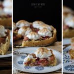 rhubarb vanilla meringue tart | seitanismymotor.com